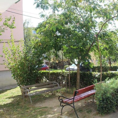 Apartament Anca Apartment ตือร์กูออกนา ภายนอก รูปภาพ